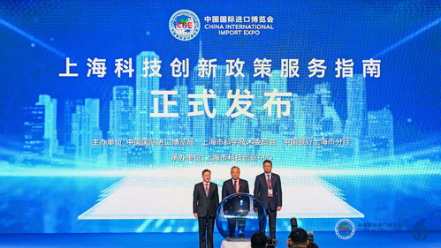 进博会创新孵化专区扩容升级，中小企业迎来新机遇